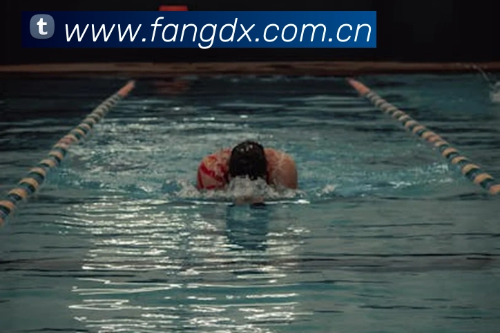 开云手机在线官网登录平台生态图